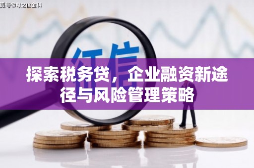 柘城探索税务贷，企业融资新途径与风险管理策略