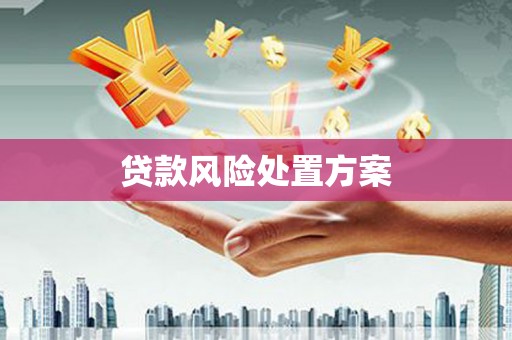 罗平贷款风险处置方案