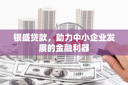 尼勒克银盛贷款，助力中小企业发展的金融利器