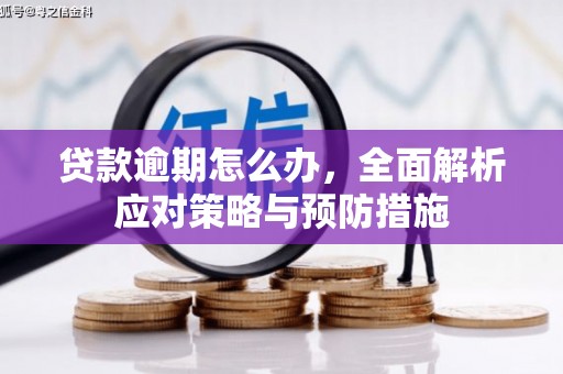 涧西贷款逾期怎么办，全面解析应对策略与预防措施