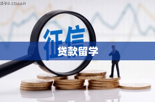 雄县贷款留学