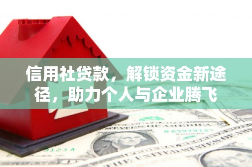 台东信用社贷款，解锁资金新途径，助力个人与企业腾飞