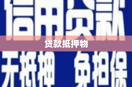 汤原贷款抵押物