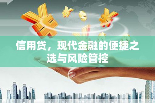 船营信用贷，现代金融的便捷之选与风险管控