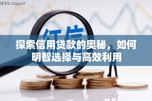 苏澳探索信用贷款的奥秘，如何明智选择与高效利用
