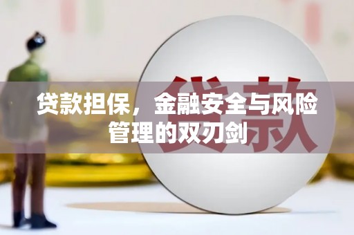 铁西贷款担保，金融安全与风险管理的双刃剑