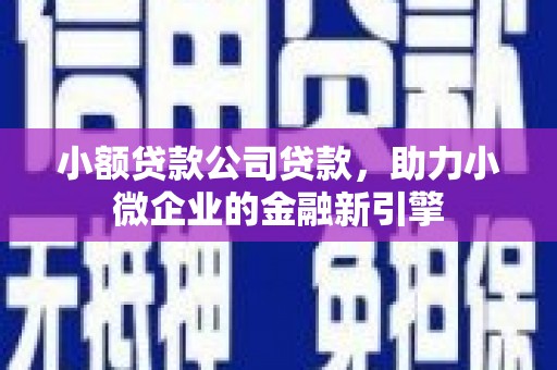 大武小额贷款公司贷款，助力小微企业的金融新引擎