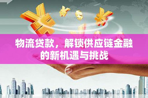 东坡物流贷款，解锁供应链金融的新机遇与挑战