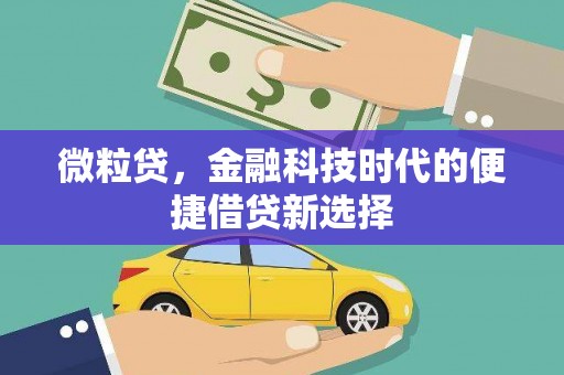 秦皇岛微粒贷，金融科技时代的便捷借贷新选择