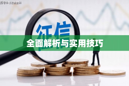 坪山新区全面解析与实用技巧
