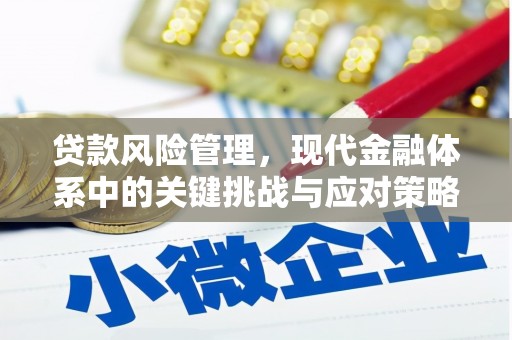 普湾新区贷款风险管理，现代金融体系中的关键挑战与应对策略