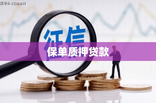 尖石保单质押贷款