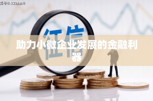 普格助力小微企业发展的金融利器