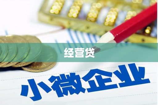 林园经营贷