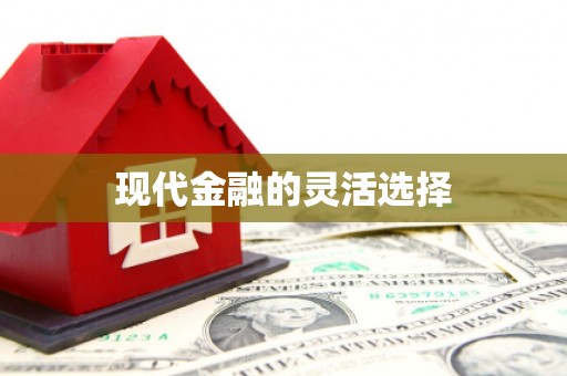 小港现代金融的灵活选择