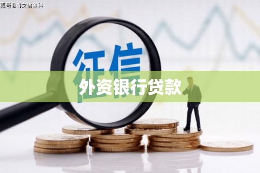 横峰外资银行贷款