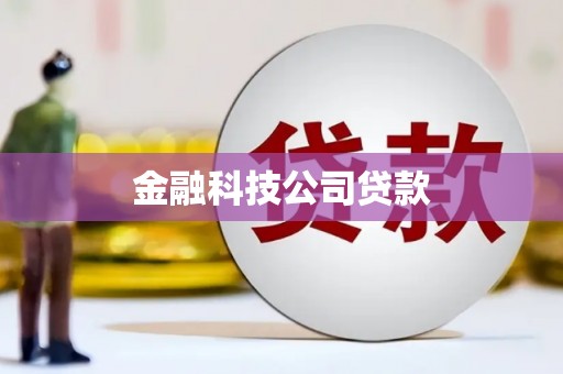 港南金融科技公司贷款