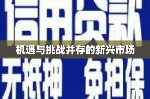坪林机遇与挑战并存的新兴市场