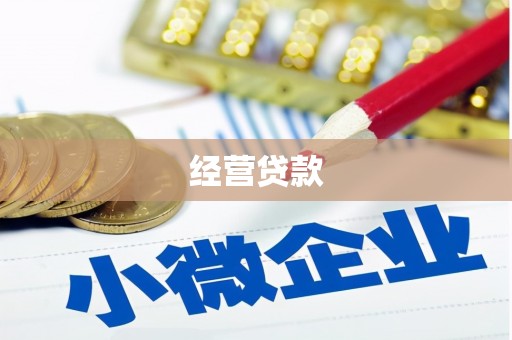 盘山经营贷款