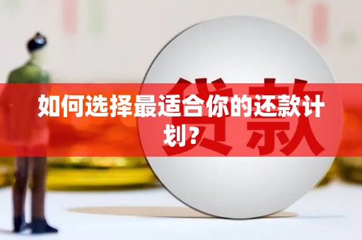 文昌如何选择最适合你的还款计划？