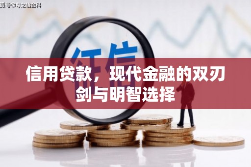 普湾新区信用贷款，现代金融的双刃剑与明智选择
