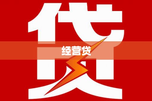 大园经营贷